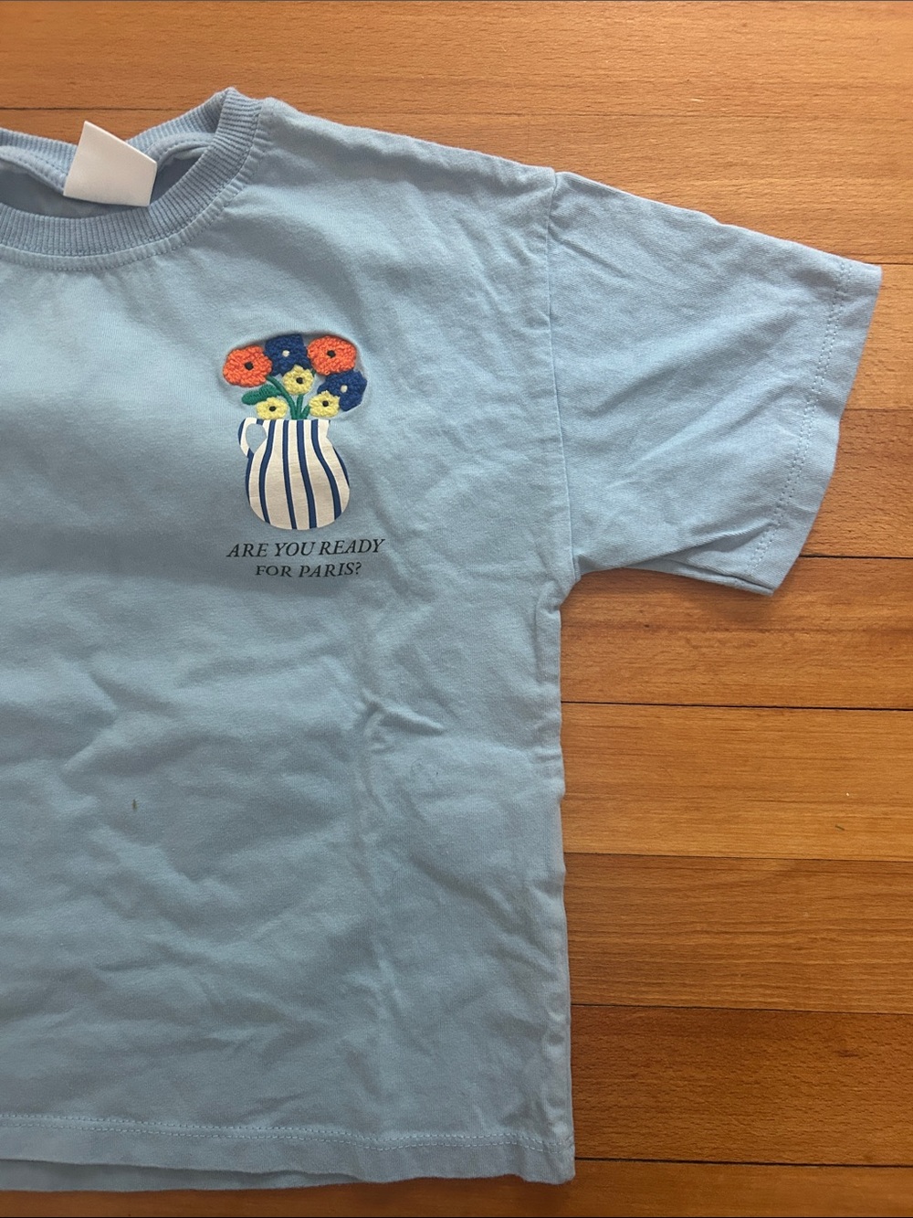 Zara Light Blue Kids Tee with Multicolor Paris Flower Pot Graphic
